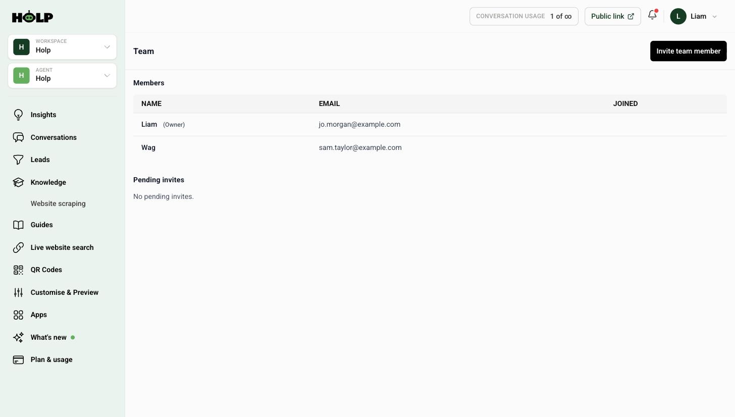 The Holp Team screen listing workspace members with the invite team member button