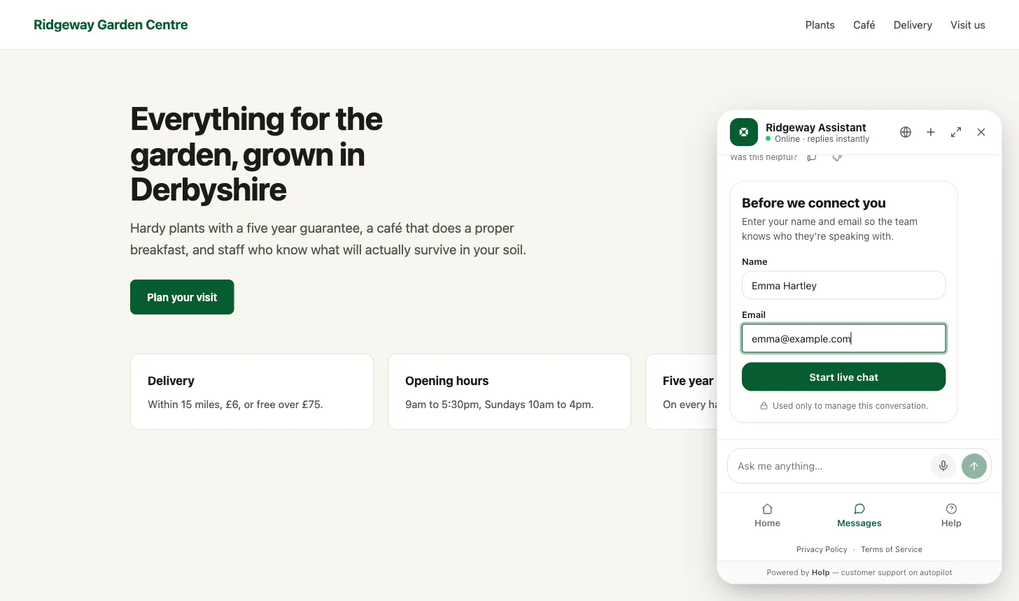 The Holp widget asking a visitor for their name and email before opening a live chat